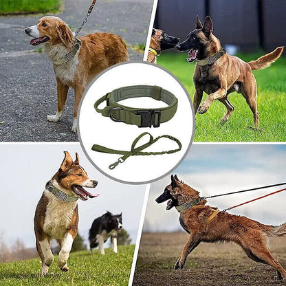 Pet Collar Adjustable, High Quality Outdoor Dog Neck Supplies for Daily Use, Boutique Summer Druable Dog Collars for Large Mediem Doges and Cats, , Handle for Large Medium Dogs