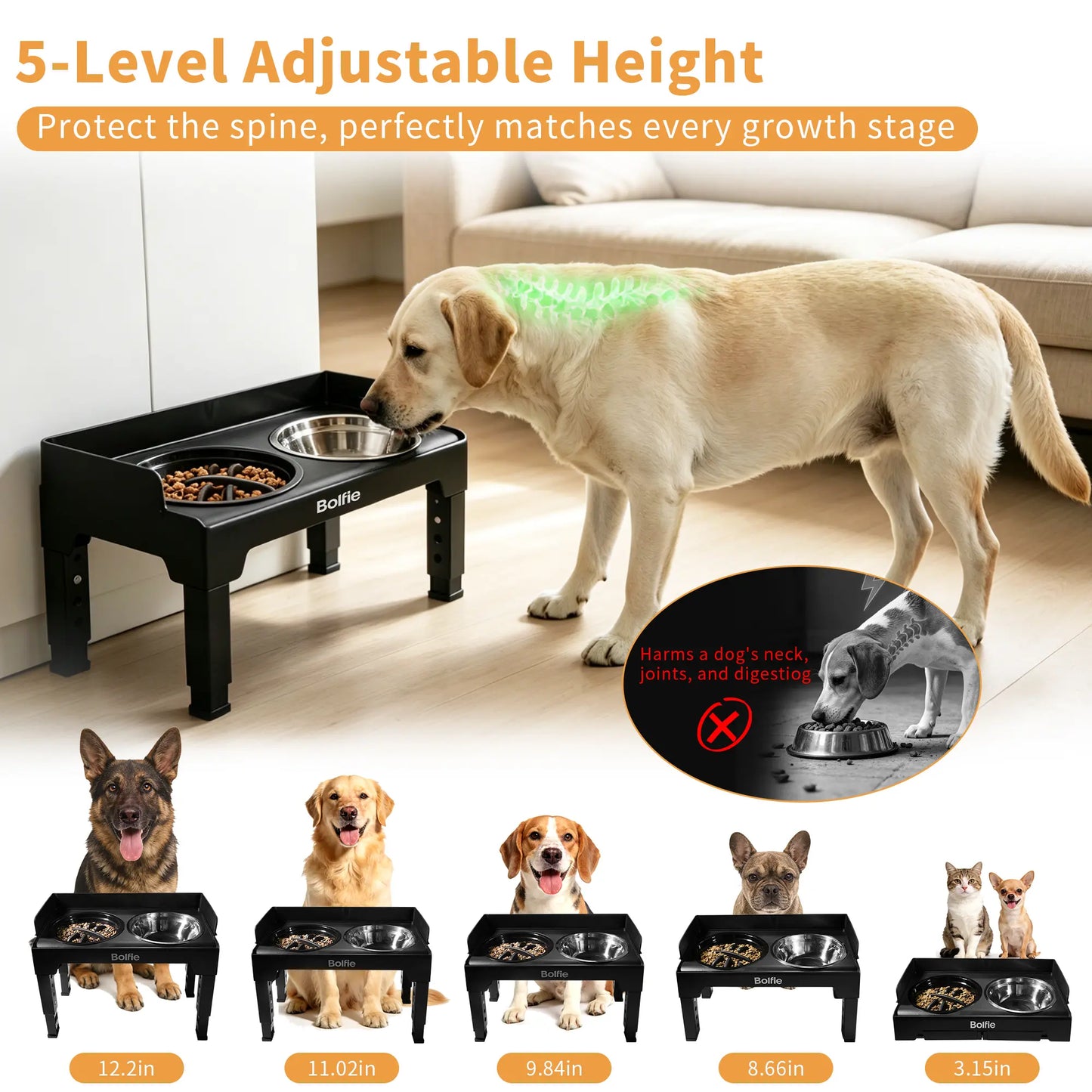 Adjustable Elevated Dog Bowl Stand with 2 Stainless Steel Bowls and 1 Slow Feeder, Suitable for Small to Large Dogs (Height Adjustable from 3.2" to 12.2")